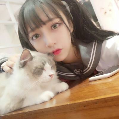长生修仙诀官方